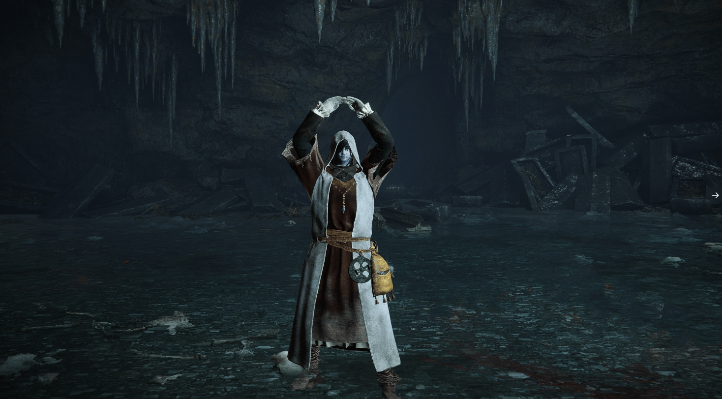 艾尔登法环什么流派强