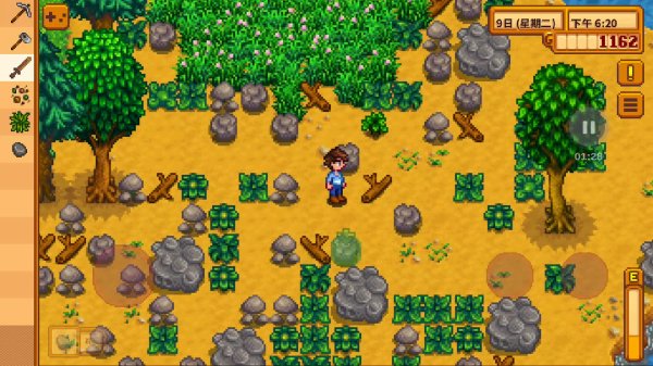 星露谷物语怎么去法师塔后面