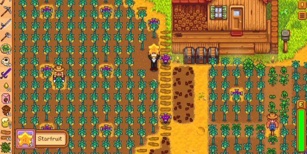 星露谷物语第二年夏天种什么