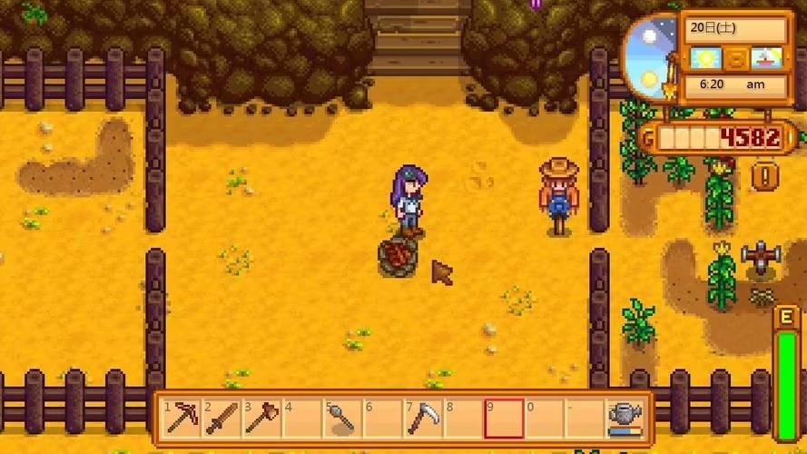 星露谷物语怎么出轨