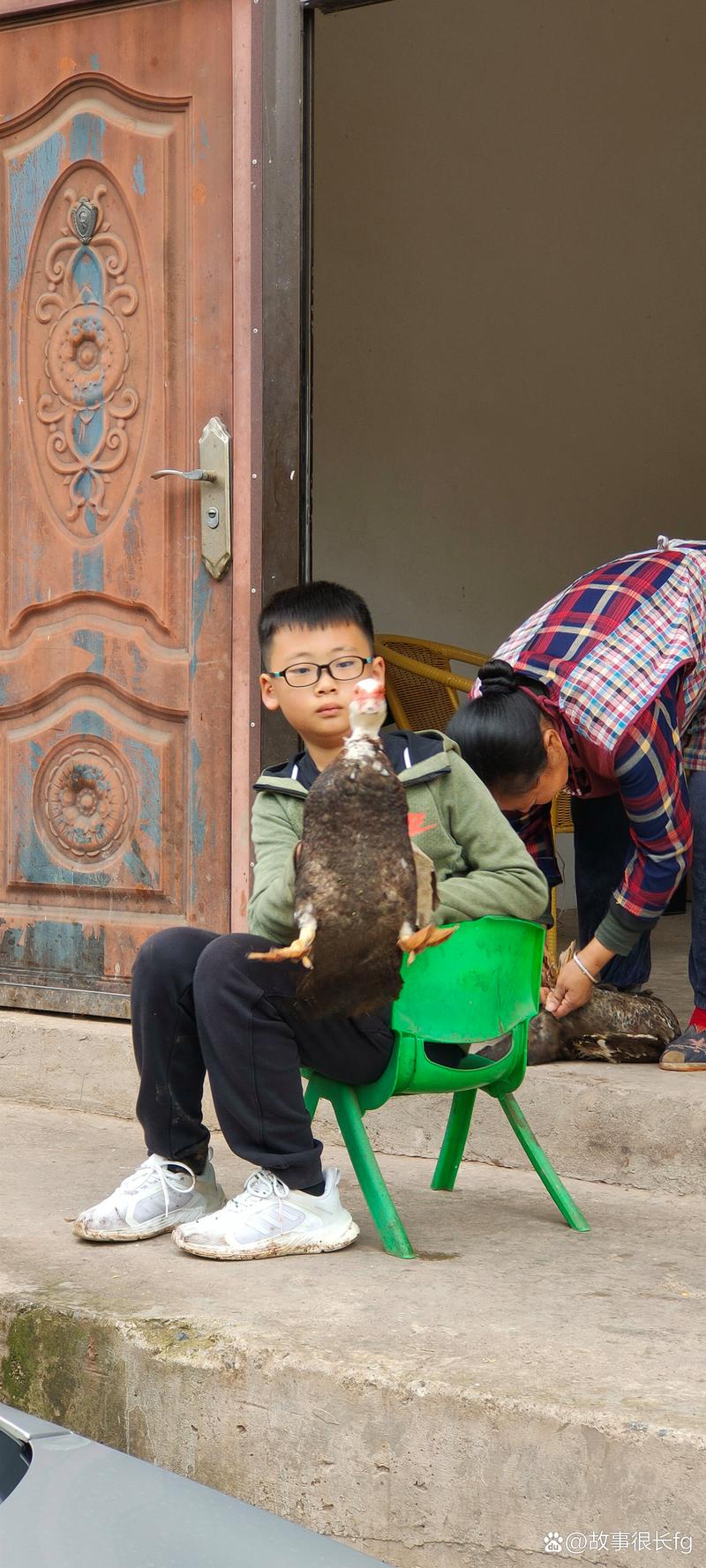一起来捉鸡手游下载_一起来捉鸡官网下载_手机安卓苹果app