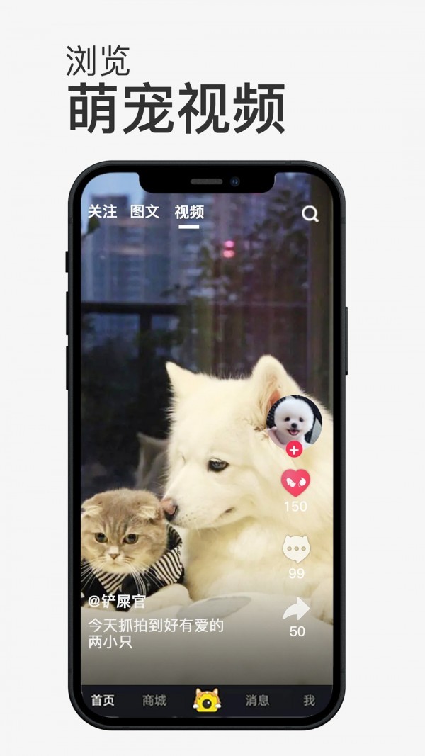 小宠书手机版下载_小宠书安卓版下载