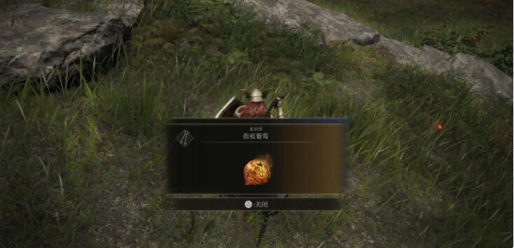 艾尔登法环接任务顺序是什么