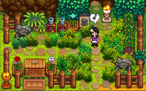 星露谷物语姜岛怎么过