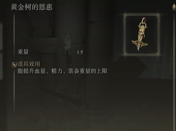 艾尔登法环error物品有哪些