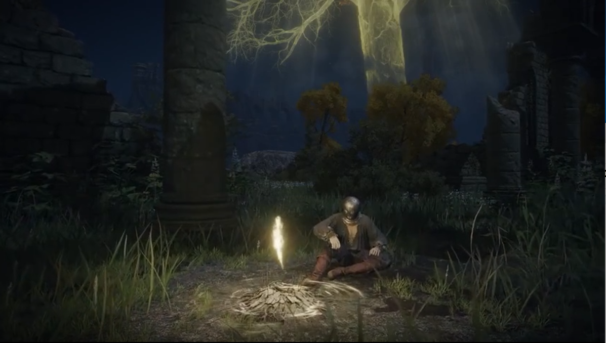 艾尔登法环印度区有什么区别