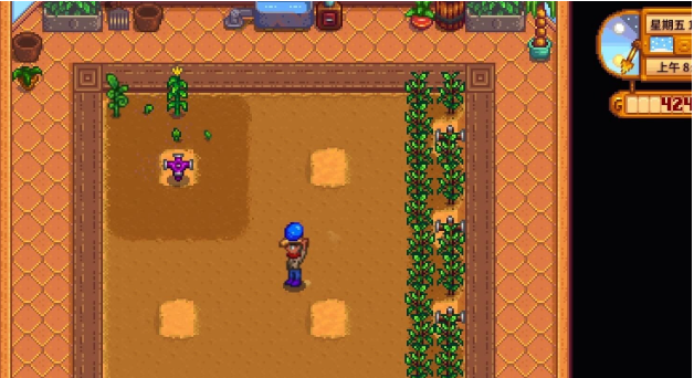 星露谷物语齐先生25层任务奖励是什么