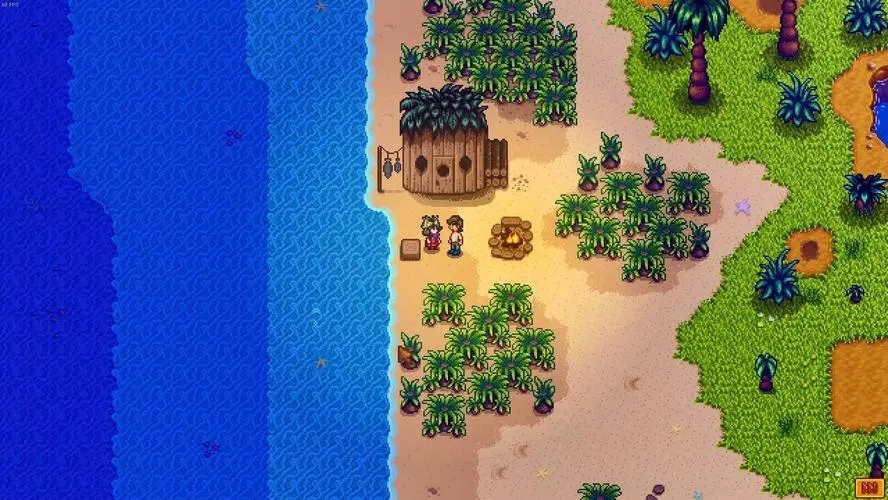 星露谷物语姜岛博物馆怎么开