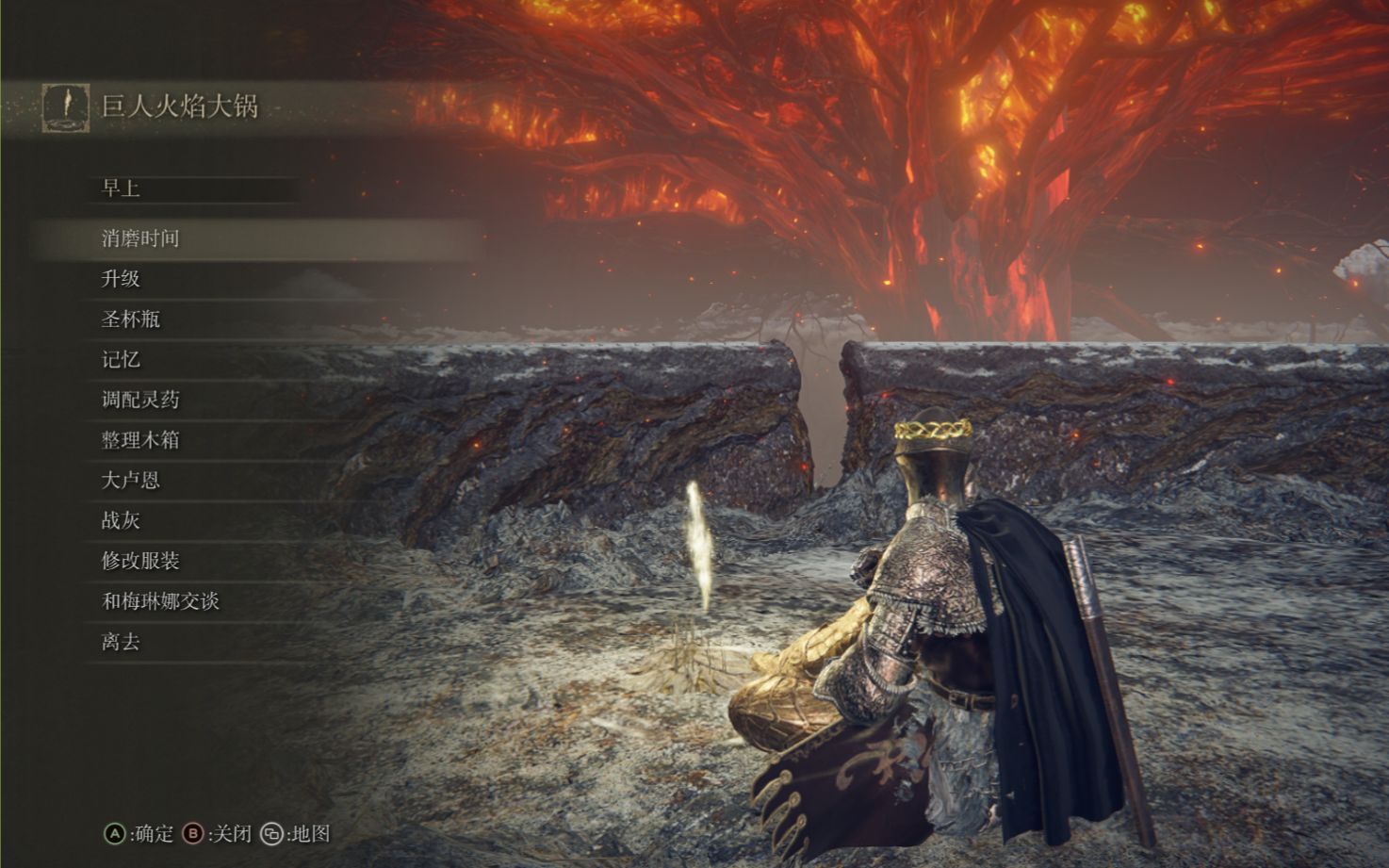 艾尔登法环烧树之前要注意什么