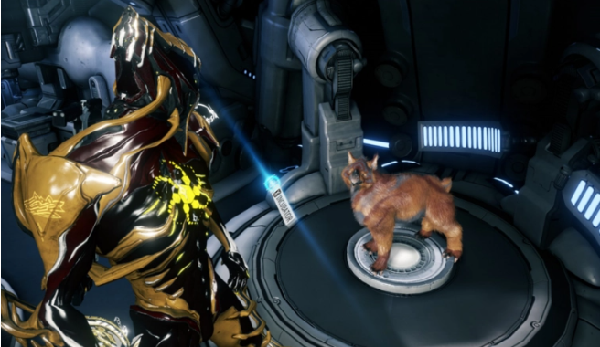 星际战甲动物捕捉需要什么