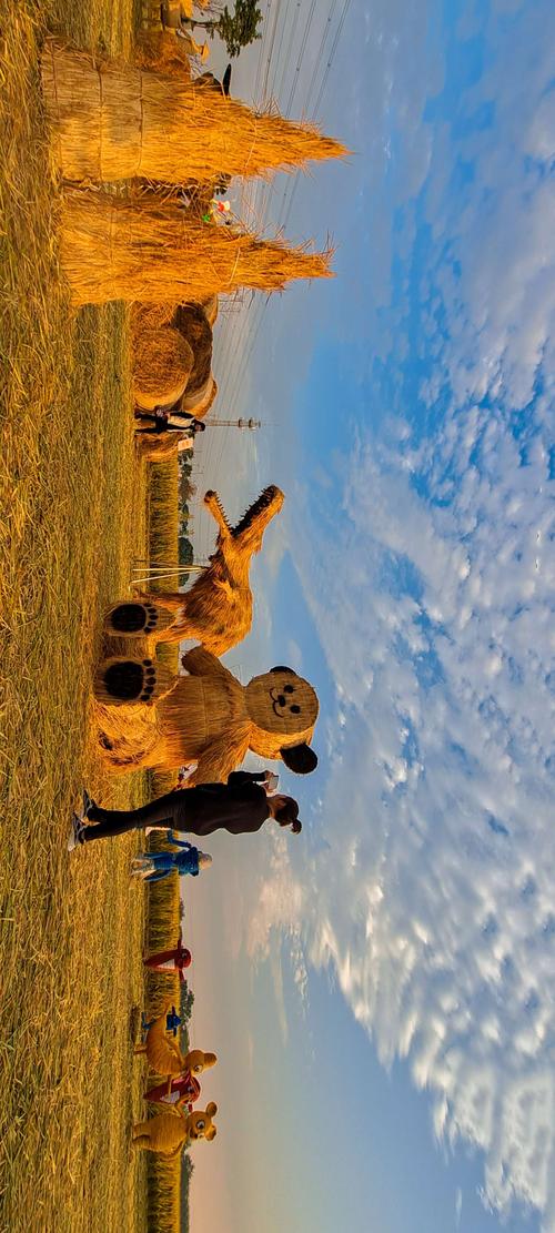 燃烧吧稻草人手游下载_燃烧吧稻草人官网下载_手机安卓苹果app