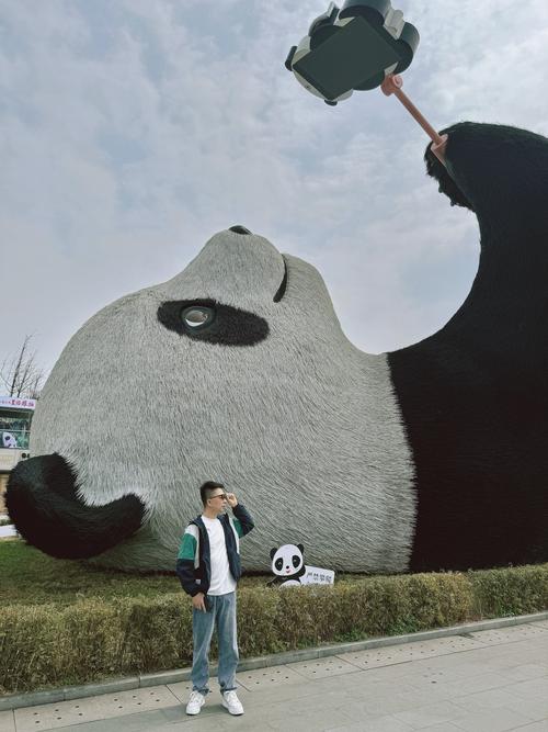 熊猫逃出洞穴手游下载_熊猫逃出洞穴官网下载_手机安卓苹果app