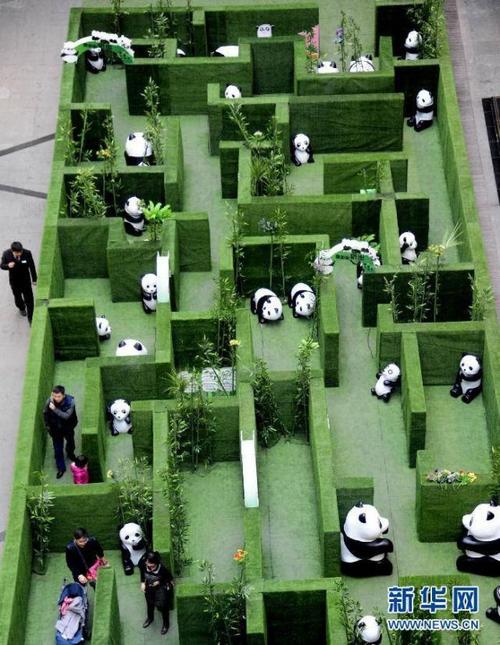 熊猫迷宫积分版手游下载_熊猫迷宫积分版官网下载_手机安卓苹果app