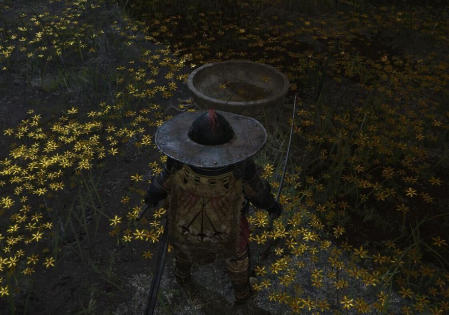 艾尔登法环开地图攻略顺序是什么 艾尔登法环开地图攻略顺序是什么