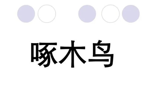 你画我猜游戏教案重难点怎么写