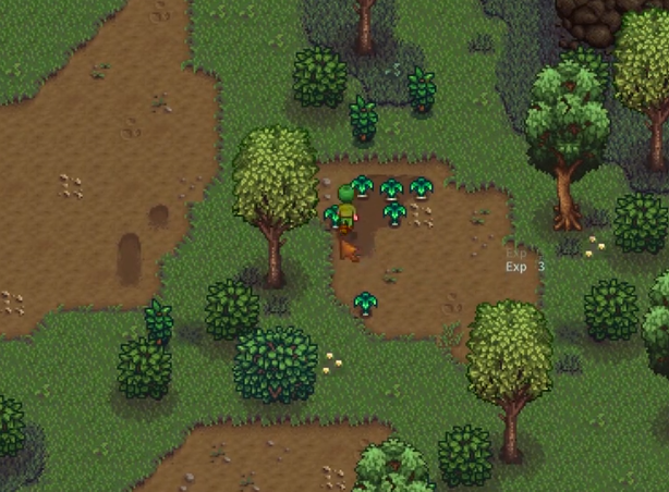 星露谷物语怎么找法师