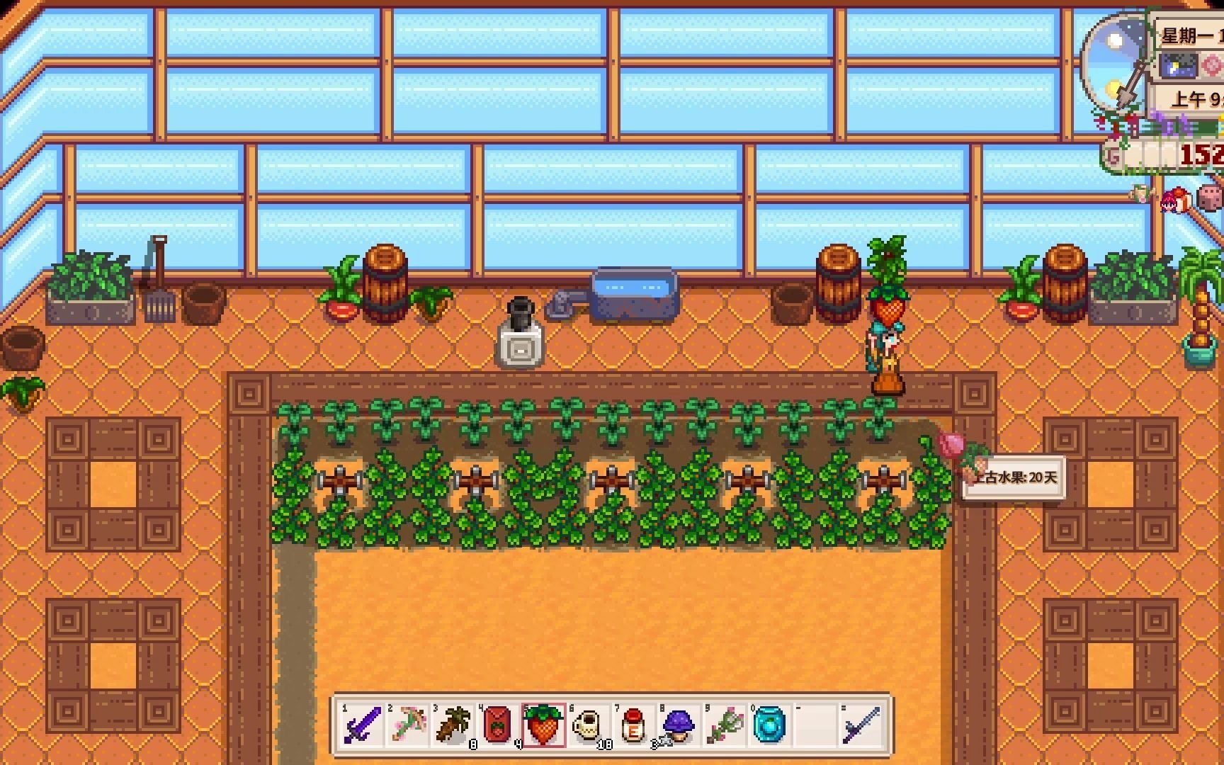 星露谷物语西边山洞选什么 星露谷物语西边山洞选什么