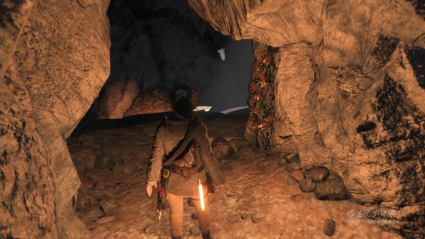 古墓丽影10dlc庄园怎么看