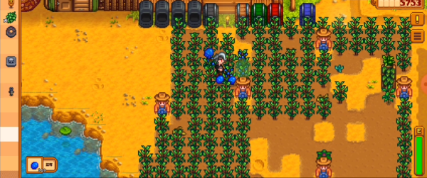 星露谷物语夏天种什么好