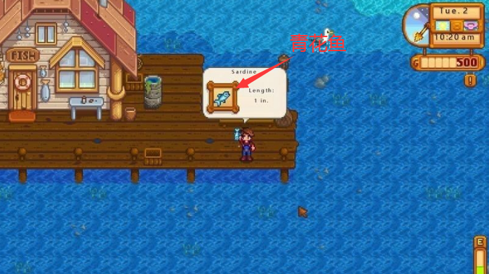 星露谷物语春天能钓出什么鱼