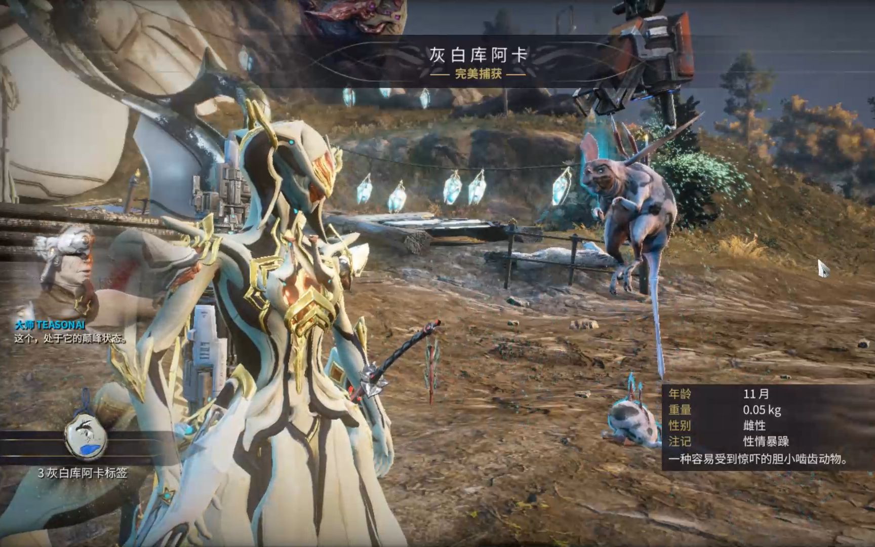 星际战甲小鸭子各级声望升级怎么做