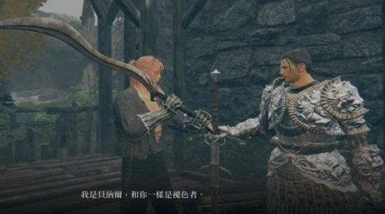 艾尔登法环支线任务怎么完成 艾尔登法环支线任务怎么完成