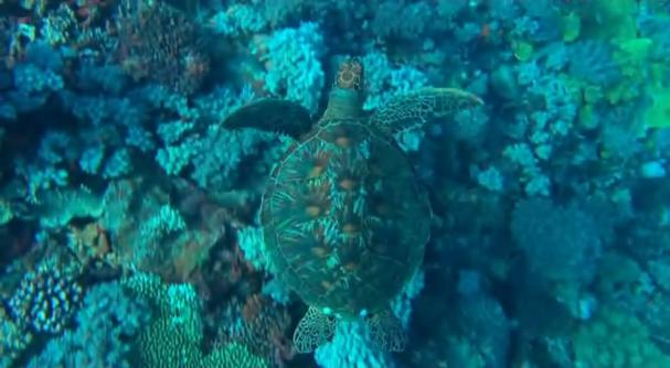 深海探秘寻宝游戏下载_深海探秘寻宝官网下载_手机安卓苹果app