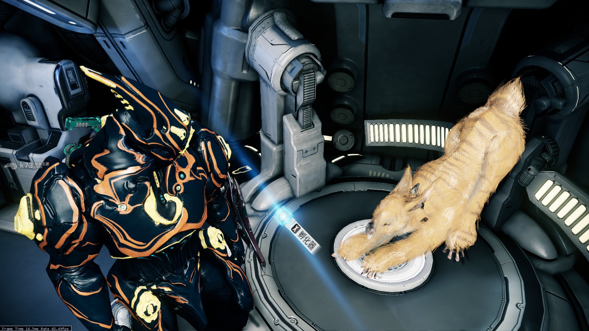 星际战甲库狛蛋怎么孵化 星际战甲库狛蛋怎么孵化