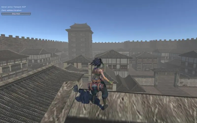 流星蝴蝶剑兴华国府怎么过