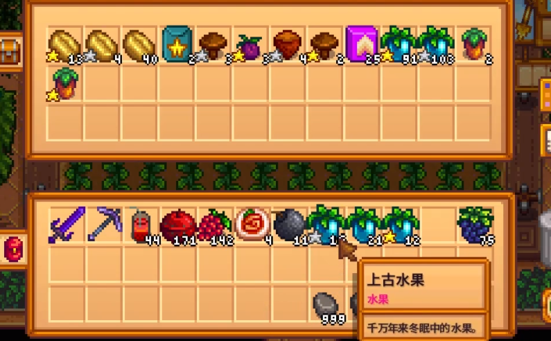 星露谷物语海莉九星怎么升