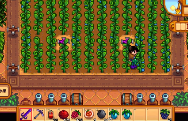 星露谷物语海莉九星怎么升