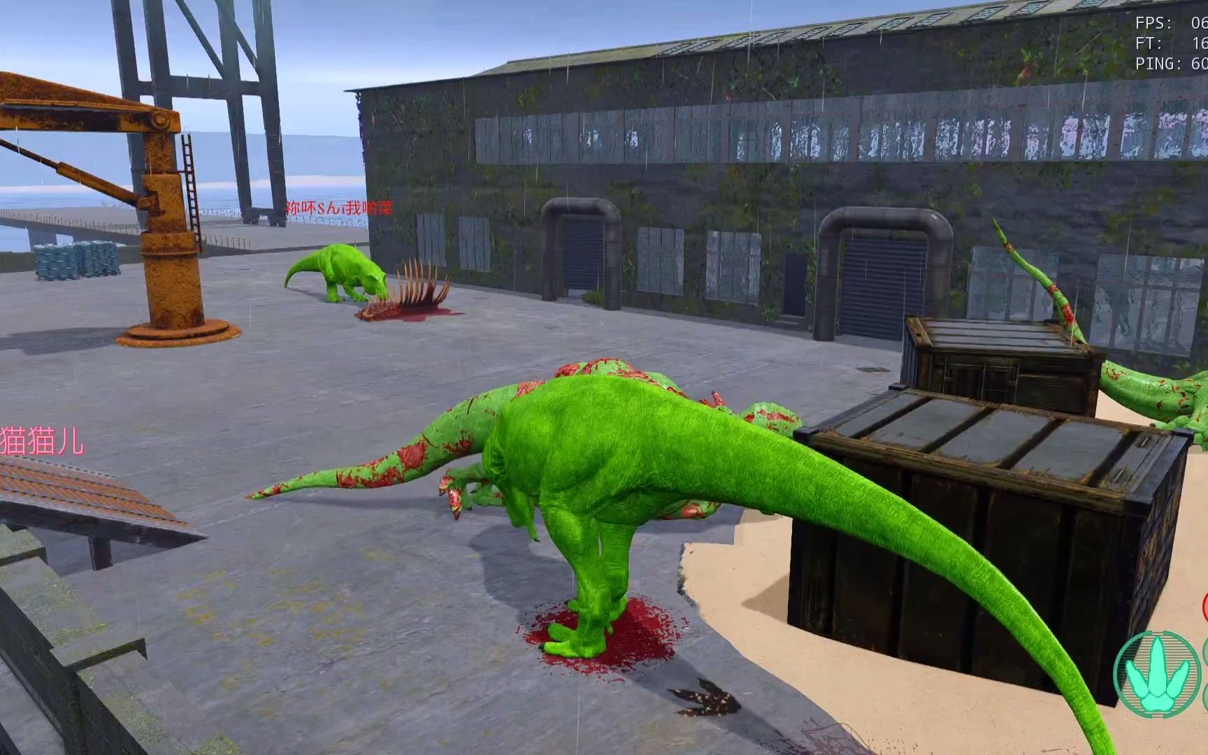 恐龙岛母龙怎么孵蛋 恐龙岛母龙怎么孵蛋