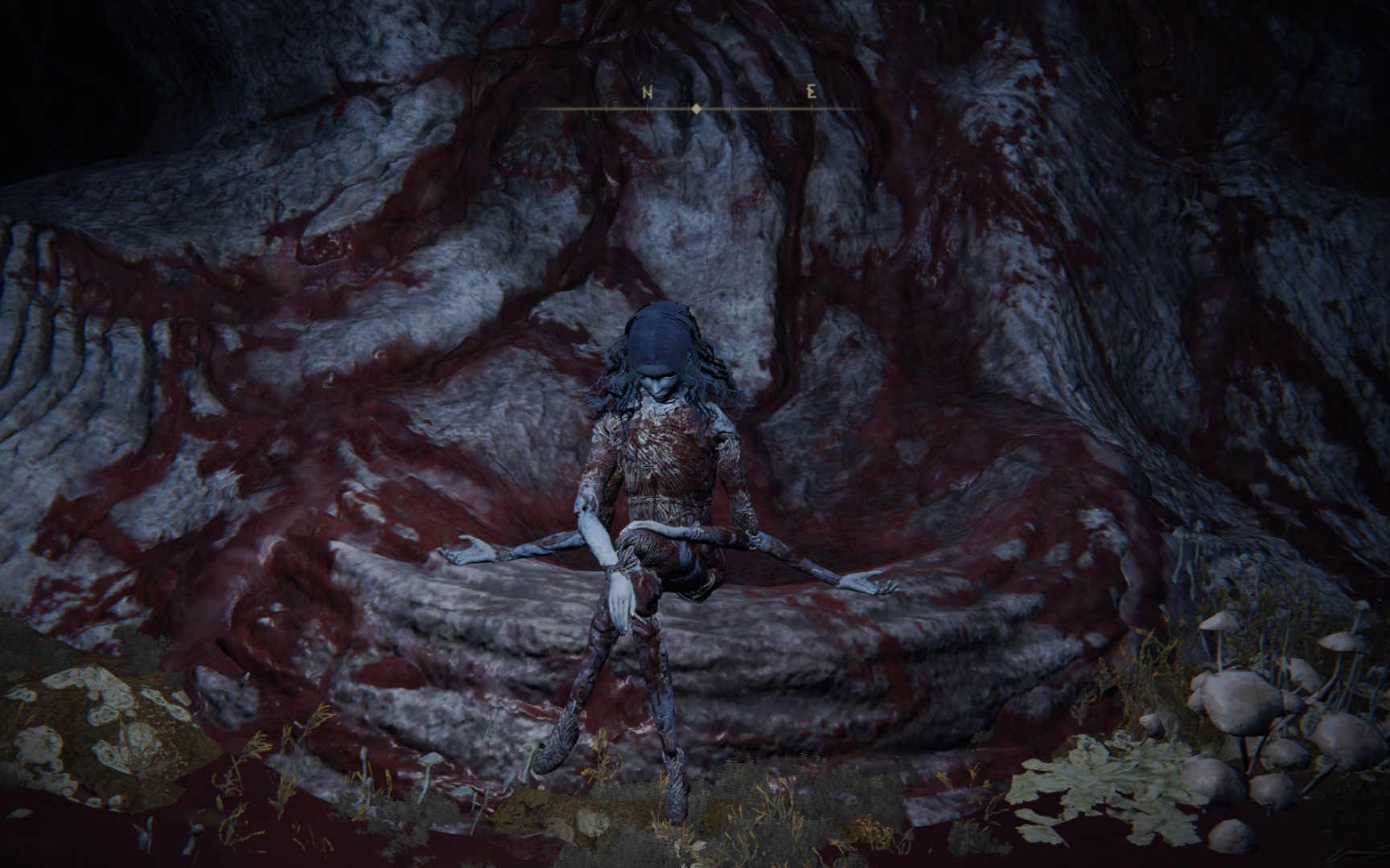 艾尔登法环怎么看自己职业 艾尔登法环怎么看自己职业