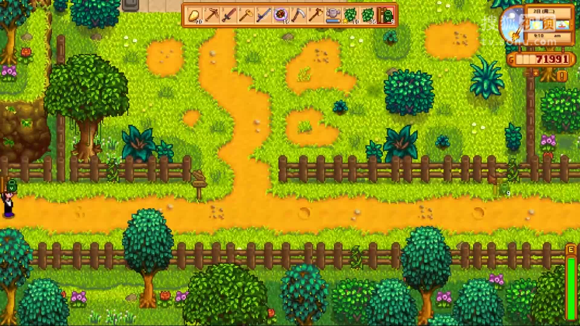 星露谷物语怎么领养孩子