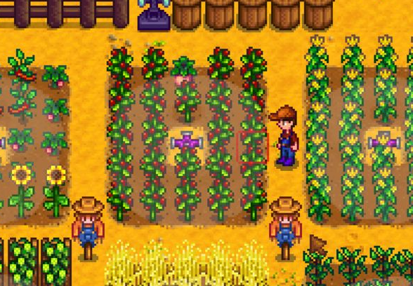 星露谷物语洒水器怎么用 星露谷物语洒水器怎么用