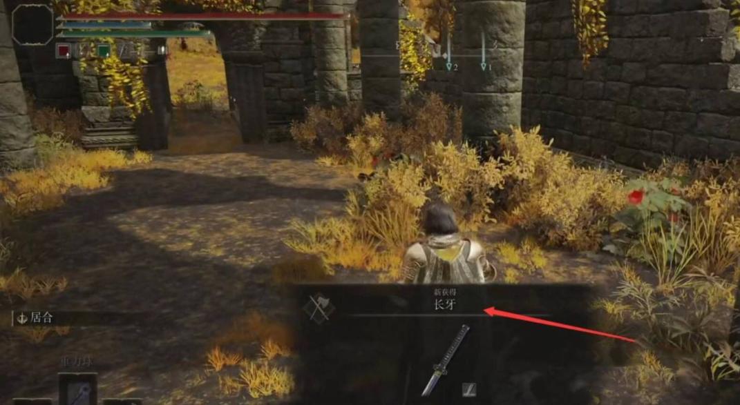 艾尔登法环长牙太刀npc套装