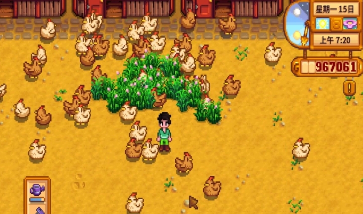 星露谷物语养鸡怎么赚钱