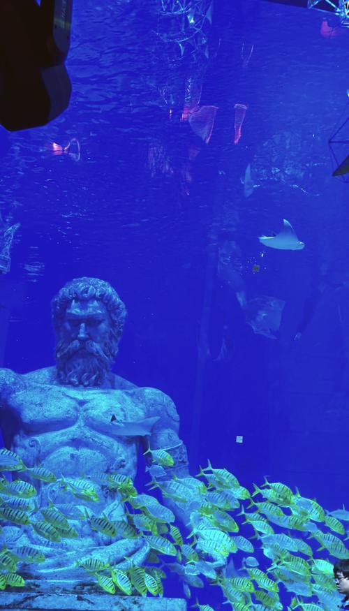 海底乐园之旅手游下载_海底乐园之旅官网下载_手机安卓苹果app