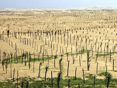 沙漠森林逃脱手游下载_沙漠森林逃脱官网下载_手机安卓苹果app