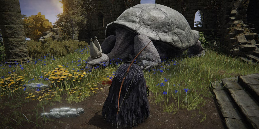 艾尔登法环乌龟老师在哪 艾尔登法环乌龟老师在哪