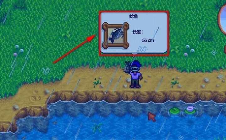 星露谷物语物怎么钓鱼 星露谷物语物怎么钓鱼