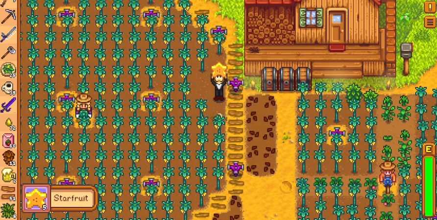 星露谷物语夏天种什么树