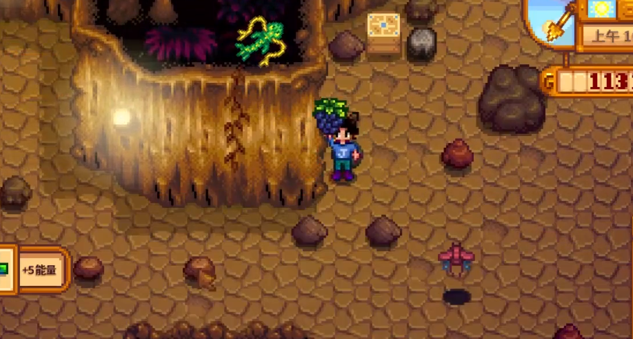 星露谷物语蟹笼能抓到什么 星露谷物语蟹笼能抓到什么