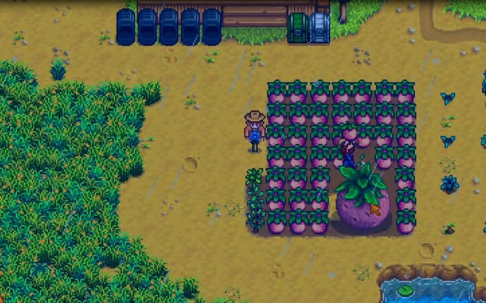 星露谷物语甜瓜怎么变大