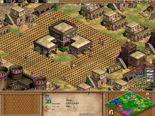 帝国时代2最强阵容怎么搭配