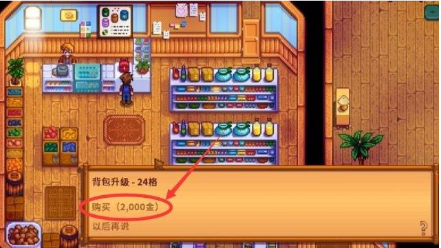 星露谷物语背包怎么扩充