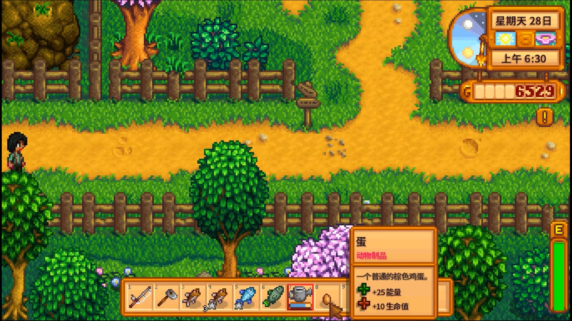 星露谷物语夏天有什么节日 星露谷物语夏天有什么节日