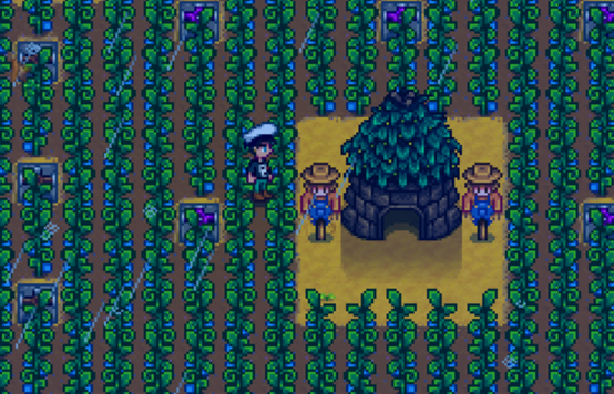 星露谷物语打鸟有什么用 星露谷物语打鸟有什么用