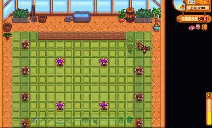 星露谷物语钻石在哪里买 星露谷物语钻石在哪里买