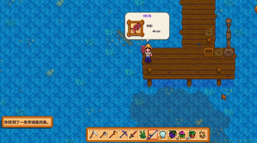 星露谷物语太阳鱼什么时候钓